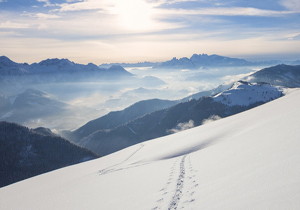 PA20° Module m7 Standard Involute Gear Hobbing Cutter